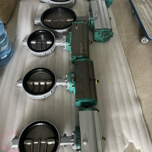 DỰ ÁN SỬA CHỮA VAN TOMOE