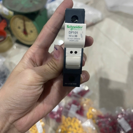 de-cau-chi-25a-6kv-1p-schneider-electric-df81-df101